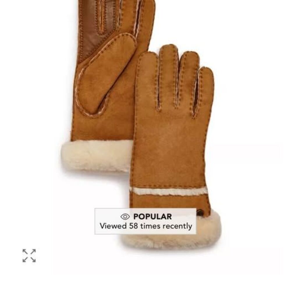 UGG TECH gloves (can use with phone)